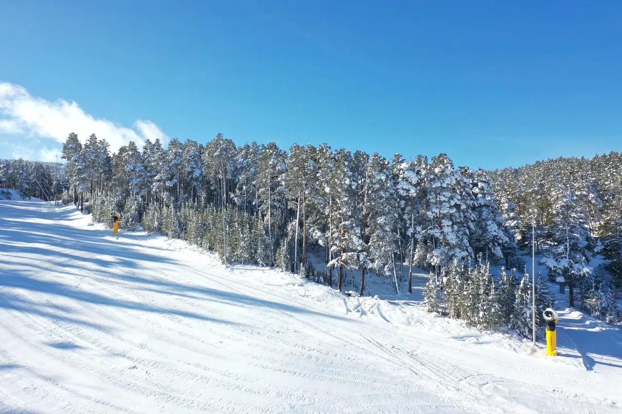 Kar yağışı Sarıkamış’ta doğayı beyaza boyadı