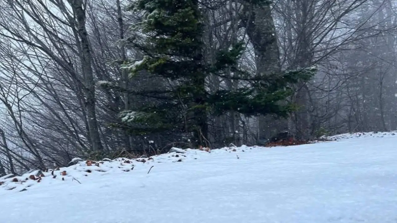 Kocaeli ve çevresinde kar etkisini artırdı: İstanbul için geri sayım başladı
