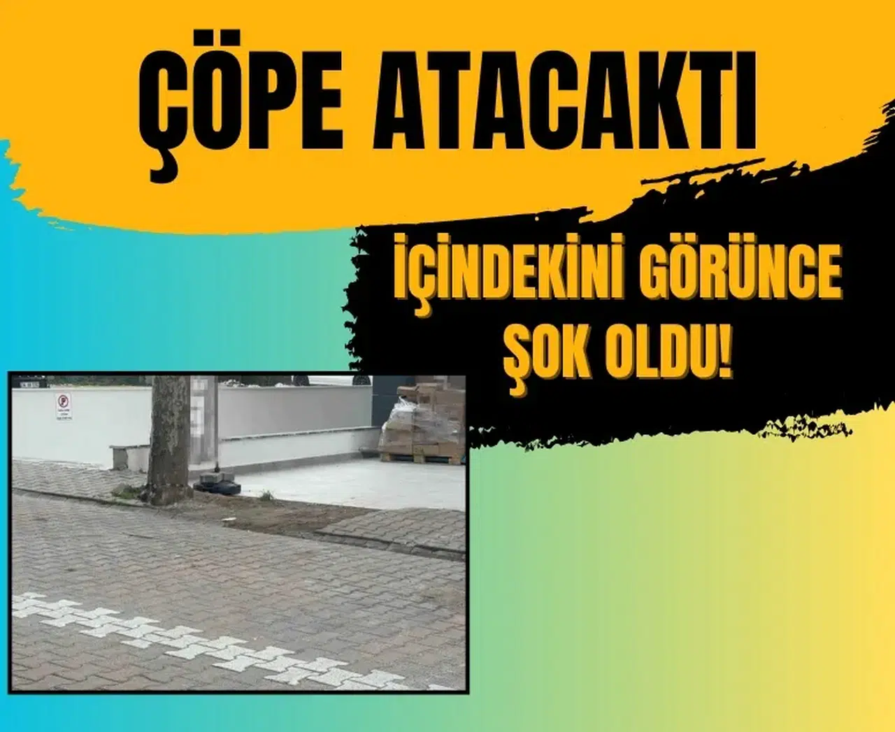 Bulduğu poşetin içinden deste destek dolar çıktı! İşte miktarı