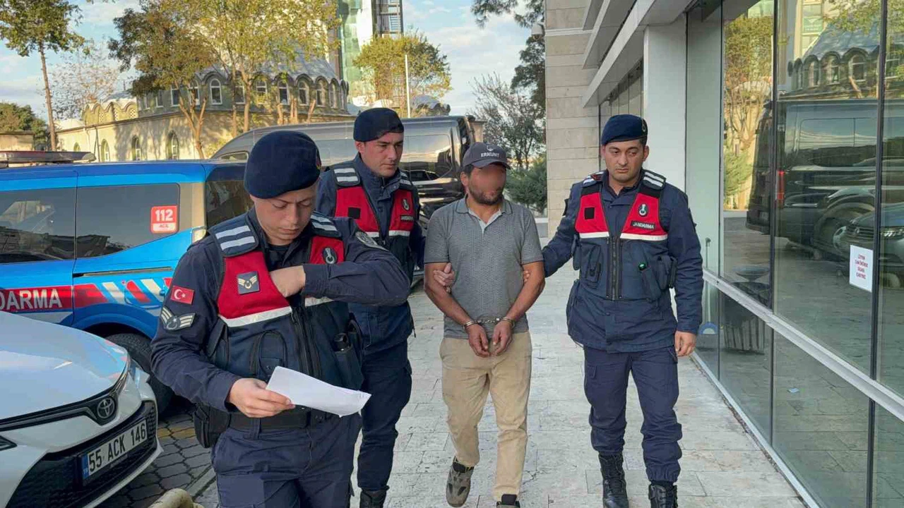 Kestiği ağaç komşusunun canını aldı