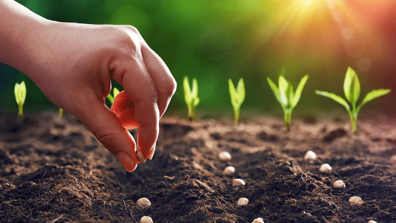 Destekler organik tarım üretimini artırdı