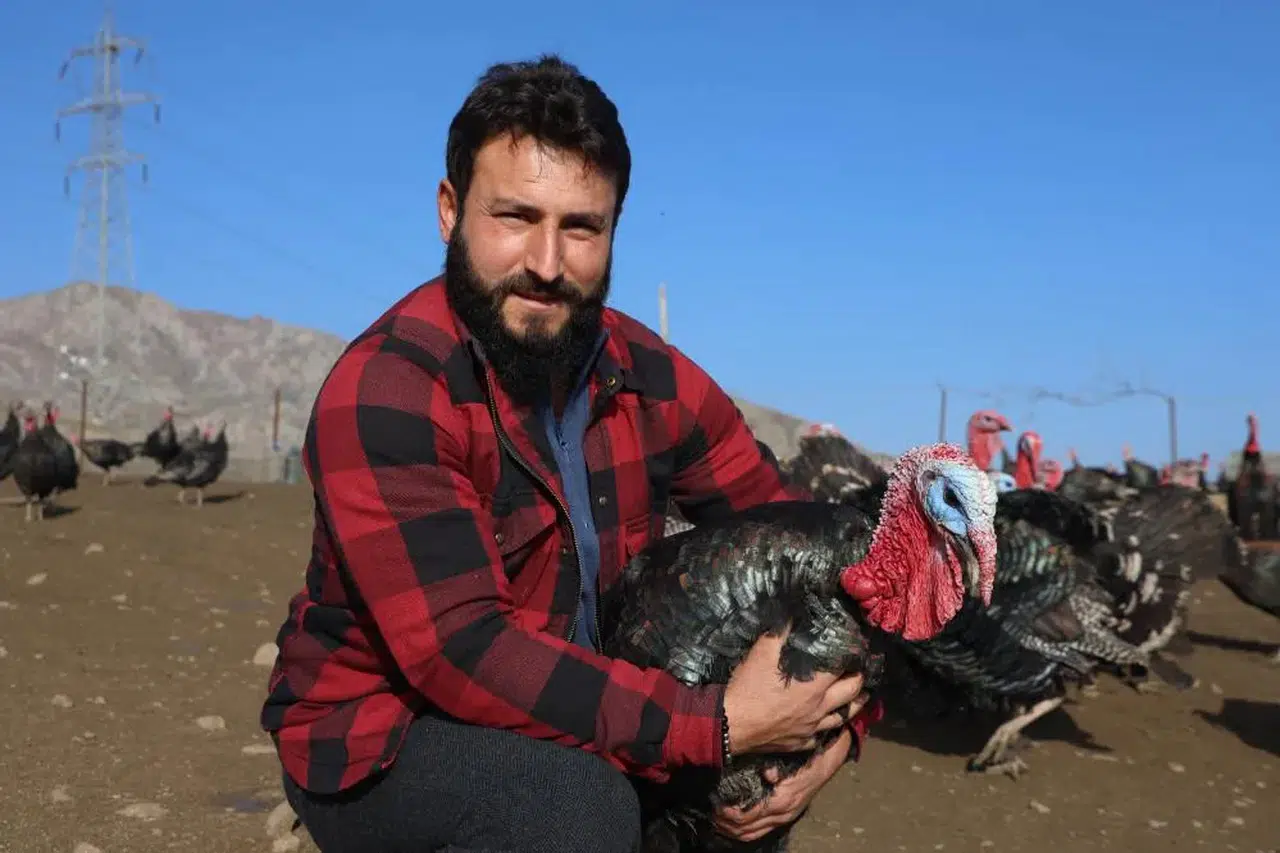 Almanya’yı bırakıp Elazığ’da patron oldu: Hindi çiftliği kurdu!