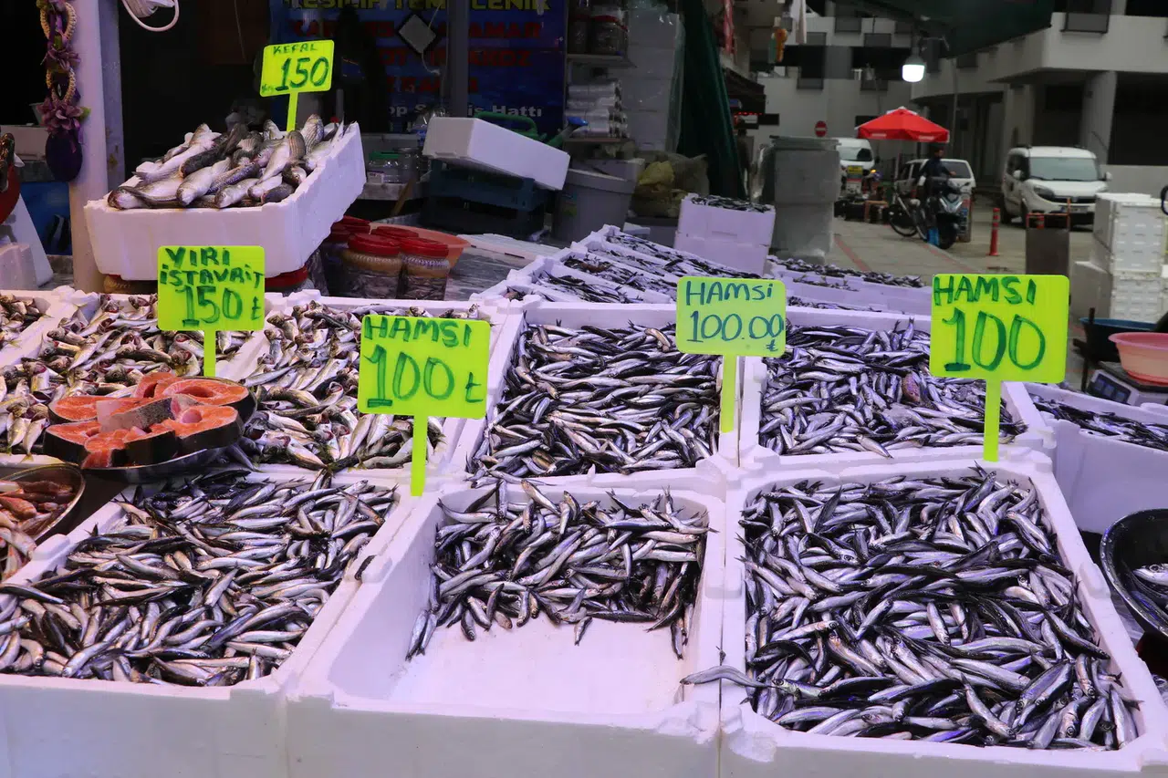 Karadeniz’de yüzler gülüyor: Hamsi uygun fiyatla satılıyor!