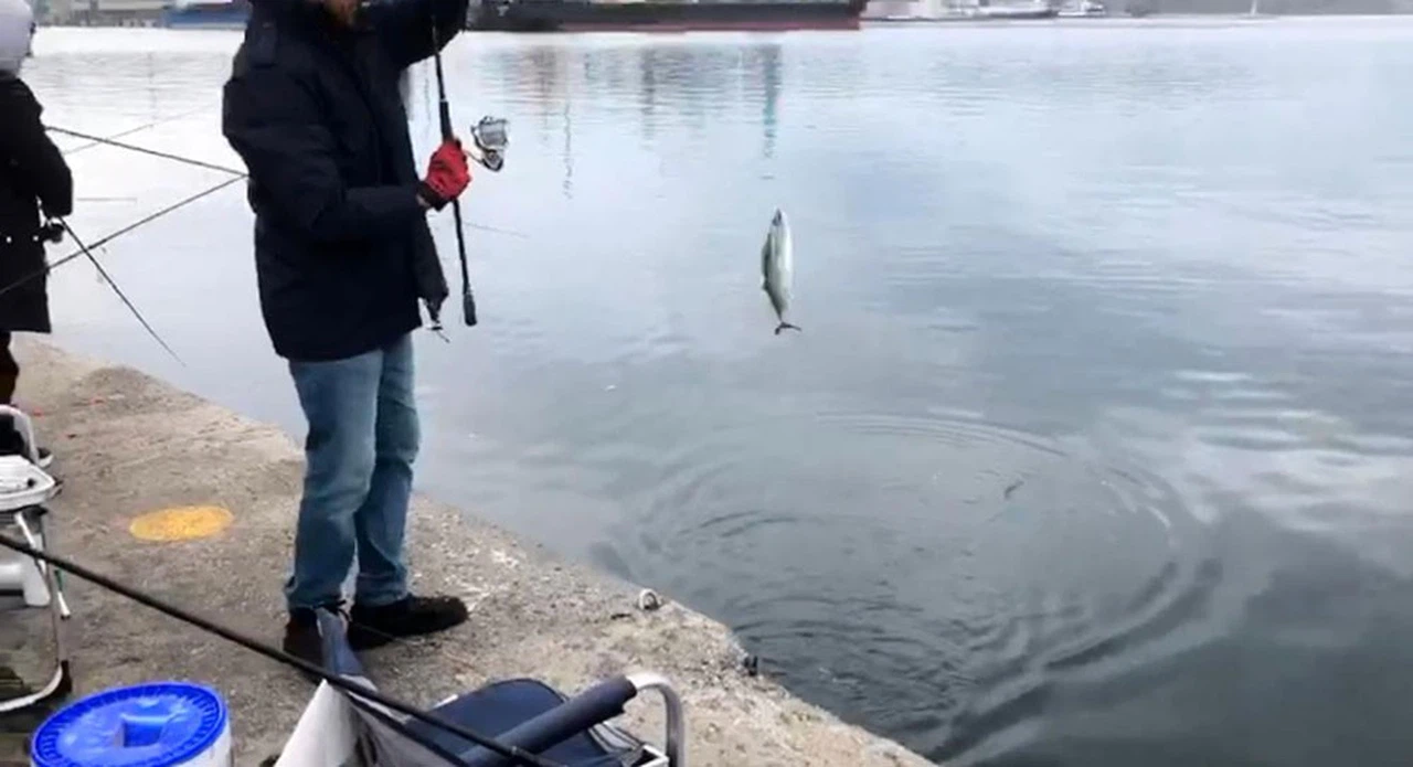 L İskele’de palamut mesaisi: Amatör balıkçılar kova doldurdu!