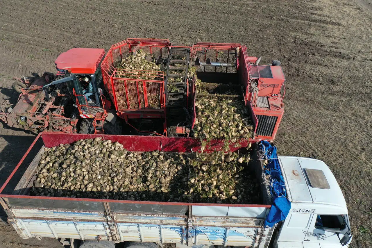 Türkşeker Kars fabrikası bölge ekonomisine güç katıyor!