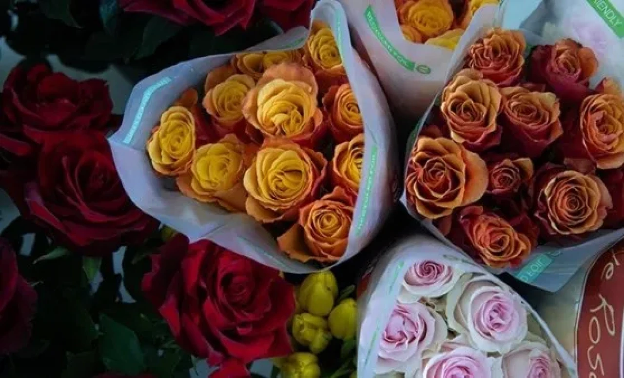 14 Şubat’ta Gül Fiyatları Ne Kadar? 1 Adet Gül Kaç TL, Gül Demeti Kaç Lira? İşte 2025 Fiyat Listesi