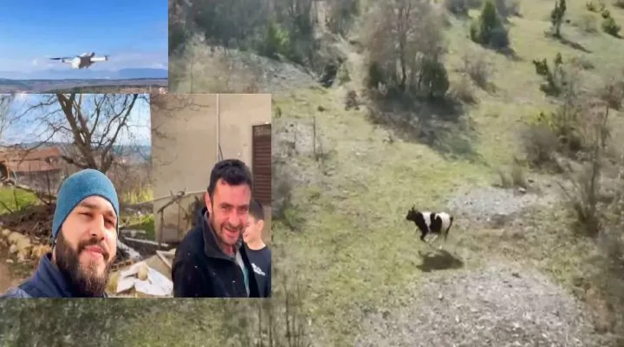 Cami imamı kaybolan ineği dronla buldu