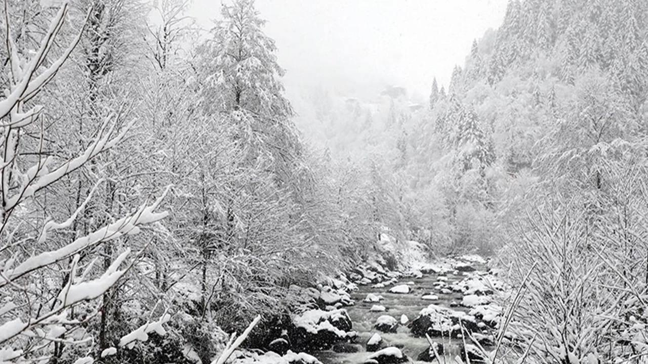 Arap ülkelerine kar sürprizi: Bir anda beyaza büründü