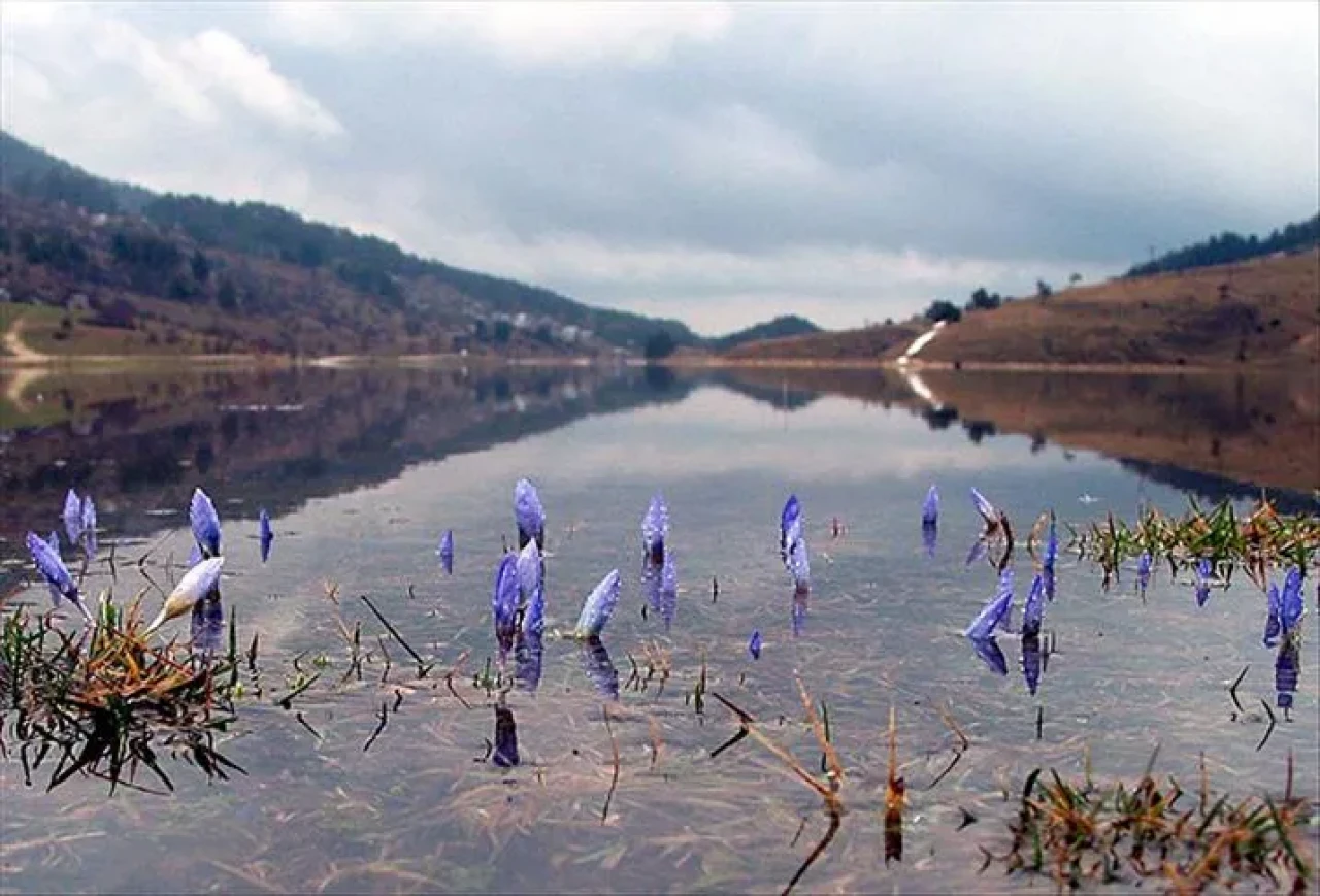 Baharın müjdecisi cemre suya düştü! Doğa yeniden canlanıyor
