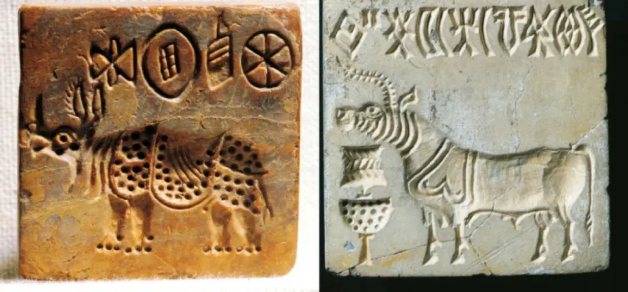 Antik Dilden Büyük Ödüle: 1 Milyon Dolarlık İndus Yazısı Çözülmeyi Bekliyor