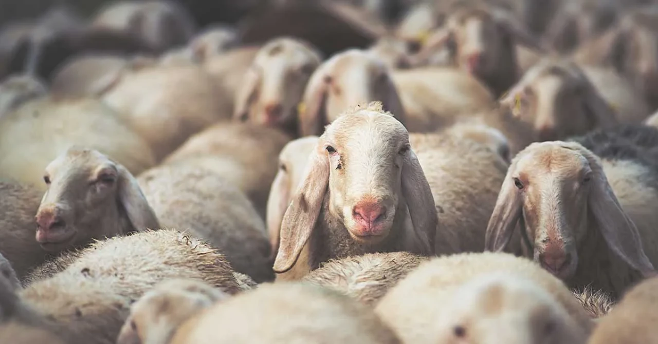 Güç yetirilemeyecek bir şey adamak geçerli olur mu?