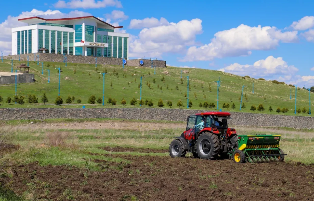 Ardahan Üniversitesi 13 Bin Yıllık Kavılca Buğdayını Yeniden Toprakla Buluşturdu