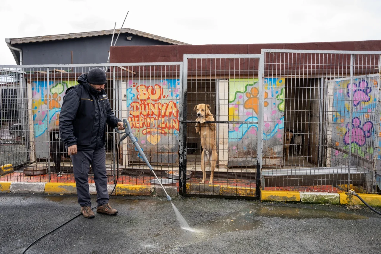 Yedikule Hayvan Barınağı’nda Hijyen Devrimi! Kärcher Tüm Gücüyle Sahada