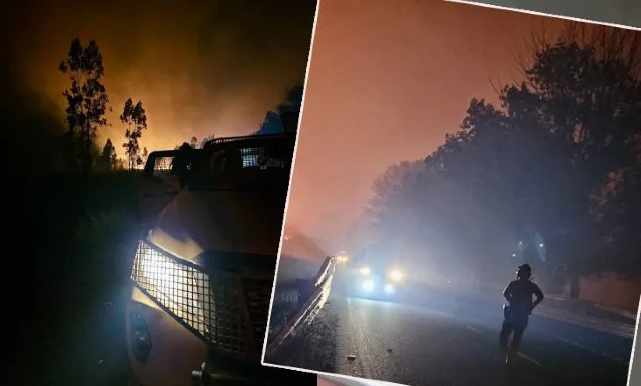 Şili Orman Yangını Kabusu Yaşıyor: Binlerce Tahliye, Hava Müdahalesi Başladı