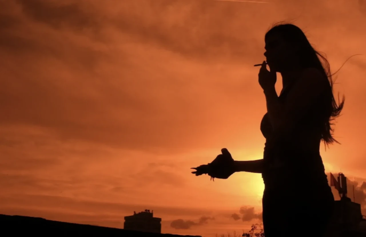 31. İFSAK Kısa Film Festivali Tarihleri ve Programı Belli Oldu!