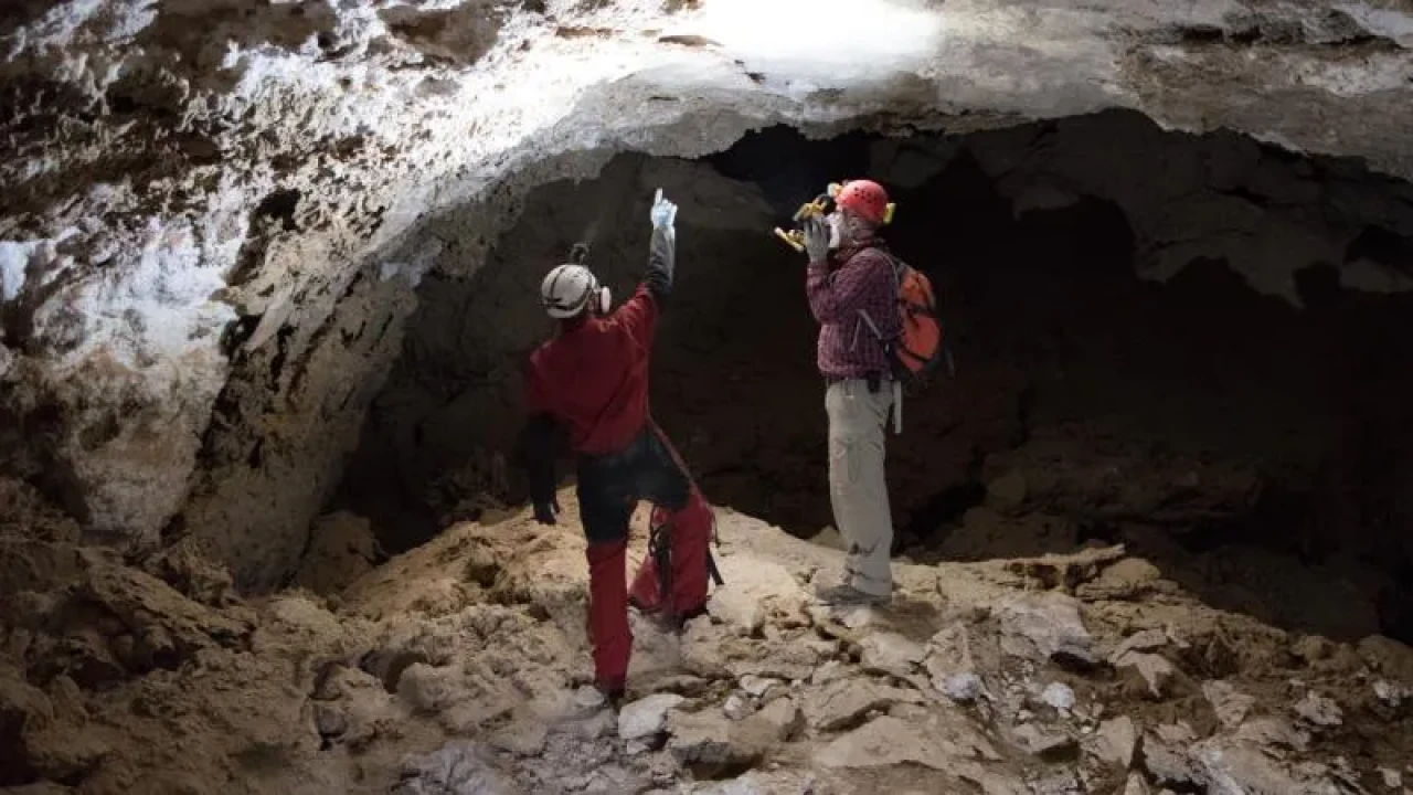 Arabistan Çölü Sandığınız Gibi Değil: 8 Milyon Yıllık Yeşil Cennet Ortaya Çıktı!