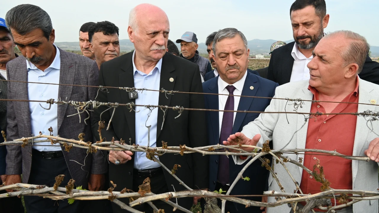 TZOB Başkanı’ndan Acil Yardım Çağrısı: Zirai Don Felaketi 2026’yı da Vurdu!