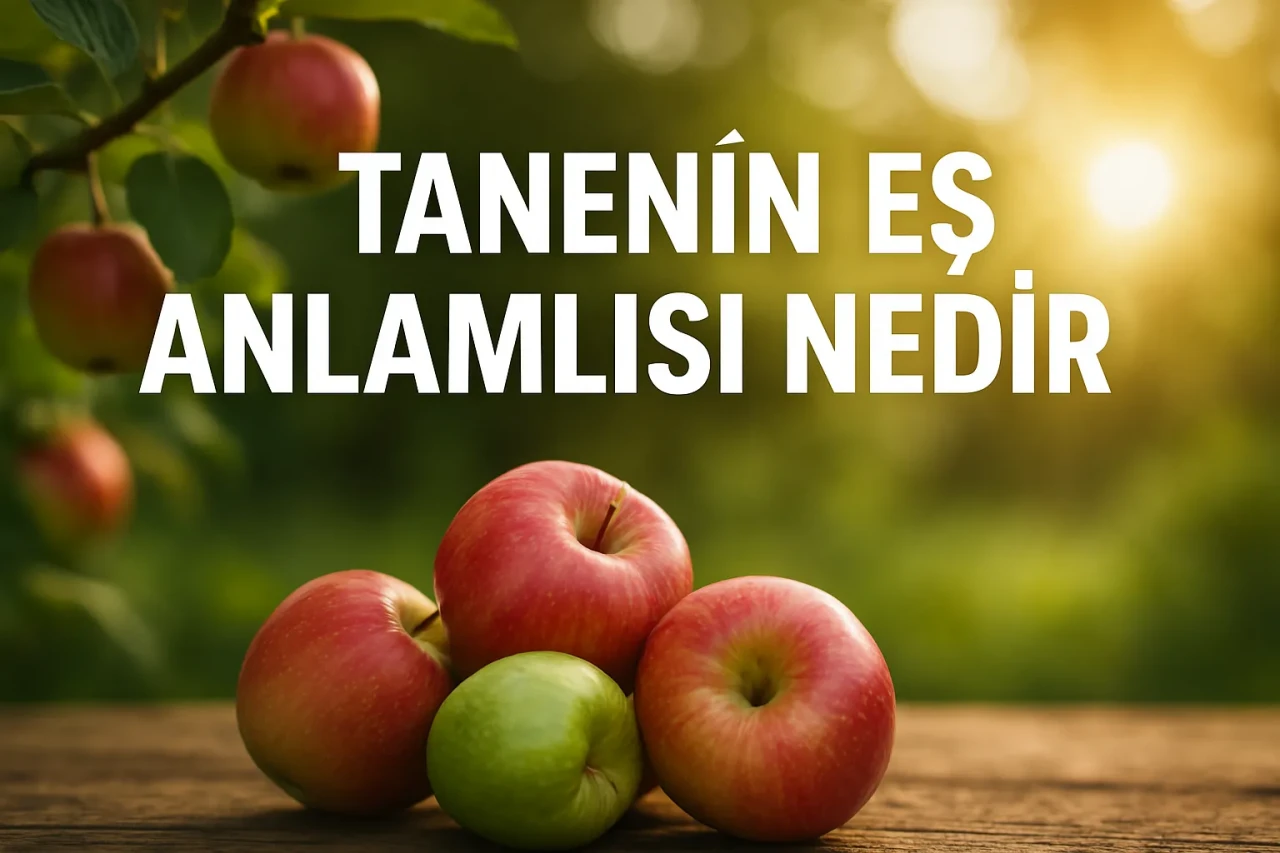 Tanenin Eş Anlamlısı Nedir? Kelime Anlamı, Kullanım Alanları ve Dilbilimsel Değerlendirme
