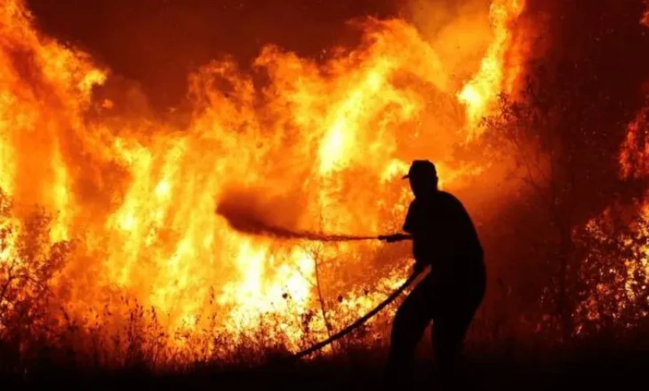 Japonya’da Korkutan Orman Yangını! 1.534 Kişi İçin Tahliye Alarmı Verildi