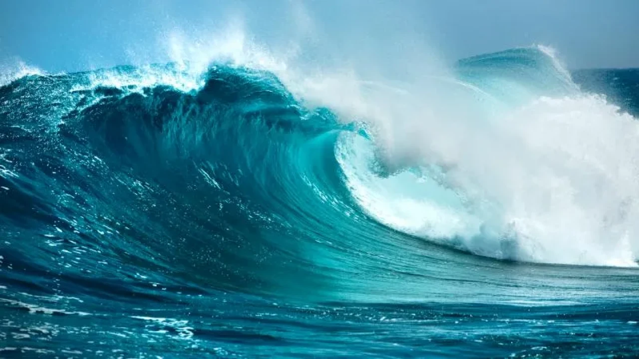 Boğulma Vakaları Artıyor! Avustralya Sahillerinde Felaket Tablosu