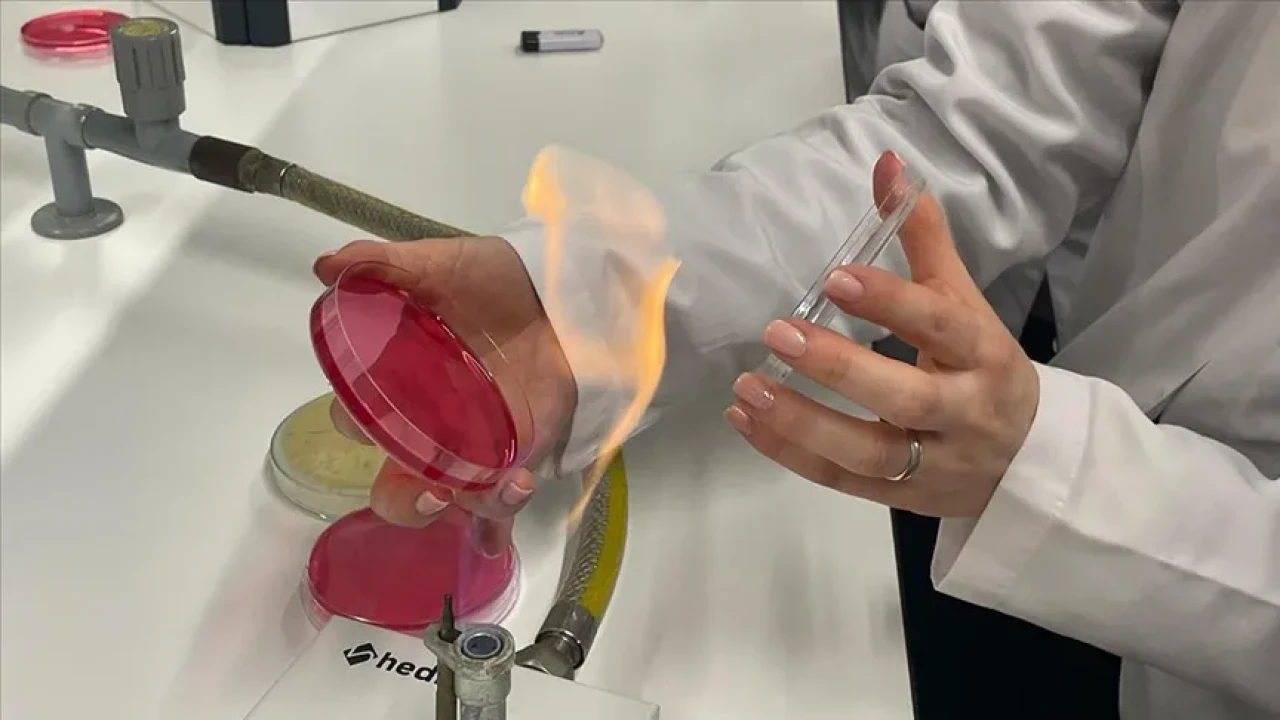 Teknolojik cihazların bozulma sebebi ortaya çıktı: O bakteri cihazların plastiklerini yiyor!