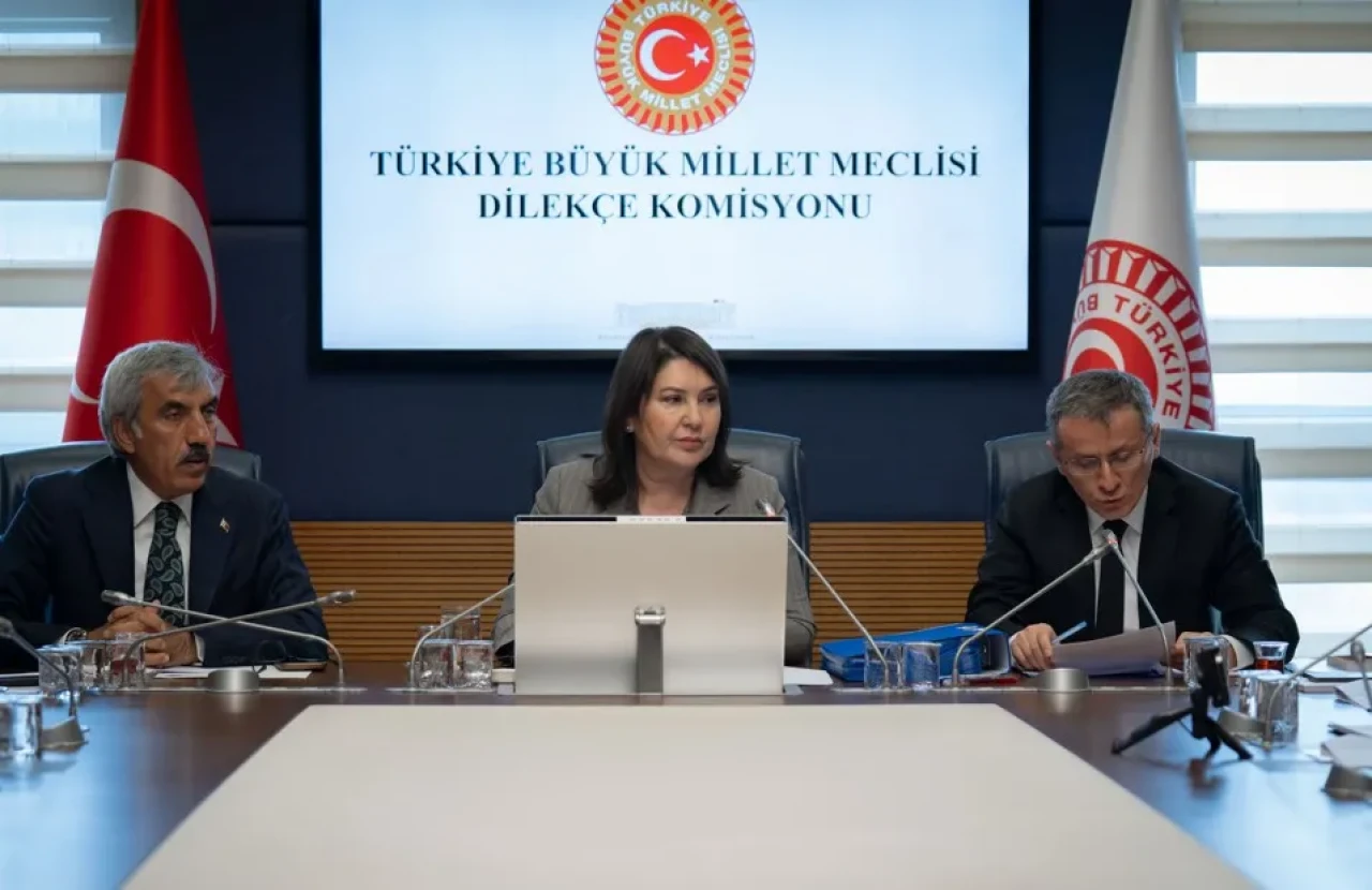 Milletin Sesi Meclis'te Yankı Buldu: Dilekçe Komisyonu'na Rekor Başvuru!