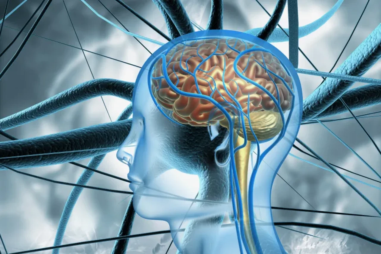 Alzheimer ve ALS'ye Karşı Dev Buluş