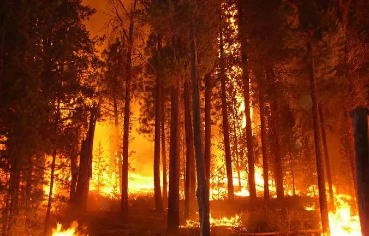 Hatay’da Sazlık Yangını: Tehlike Büyümeden Önlenmişti