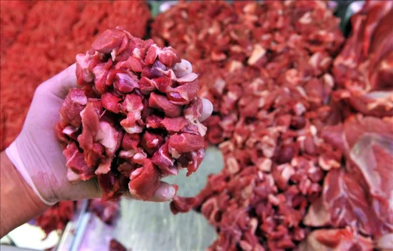 Yıl 2025 At, Eşek, Katır eti tespit edilen işletmeler ve iller açıklandı!