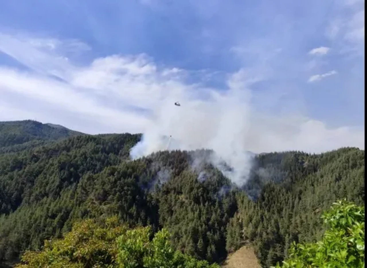 Kahramanmaraş’ta Yaz Boyunca Ormanlara Giriş Yasak!