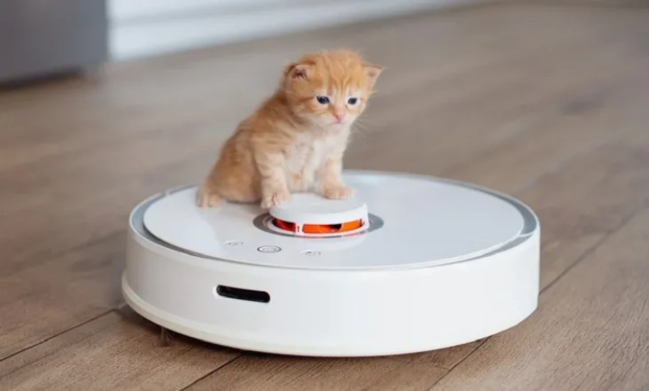 Robot Süpürgelerde Devrim: Artık Sadece Temizlik Yapmayacaklar!