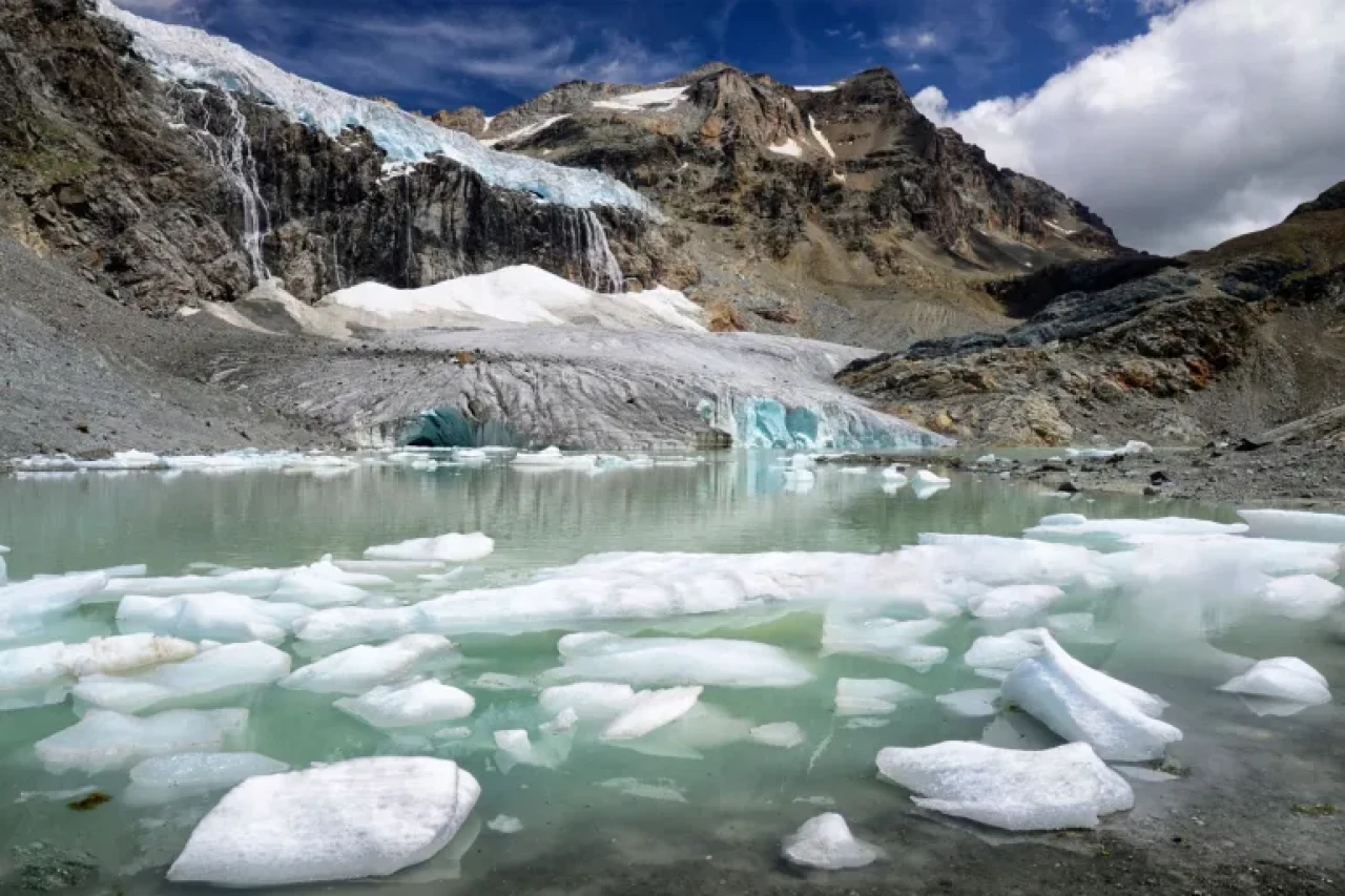 Buzulların Kaybı, İklim ve Biyoçeşitlilik İçin Büyük Risk