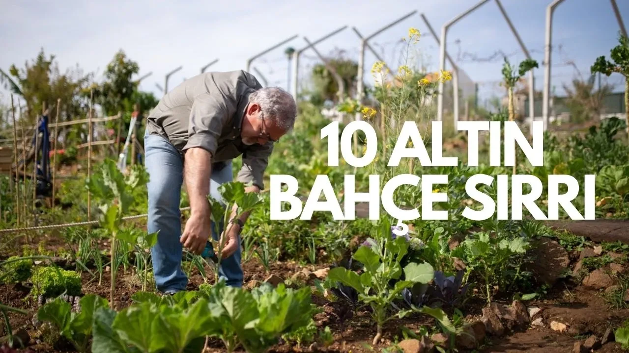 Şehirden Sıkıldım Köye Göçeceğim Diyenlere Usta Bahçıvandan 10 Altın Değerinde Öneri!
