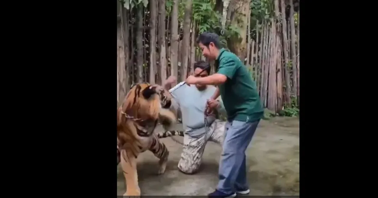 Turist selfie uğruna ölümle burun buruna geldi