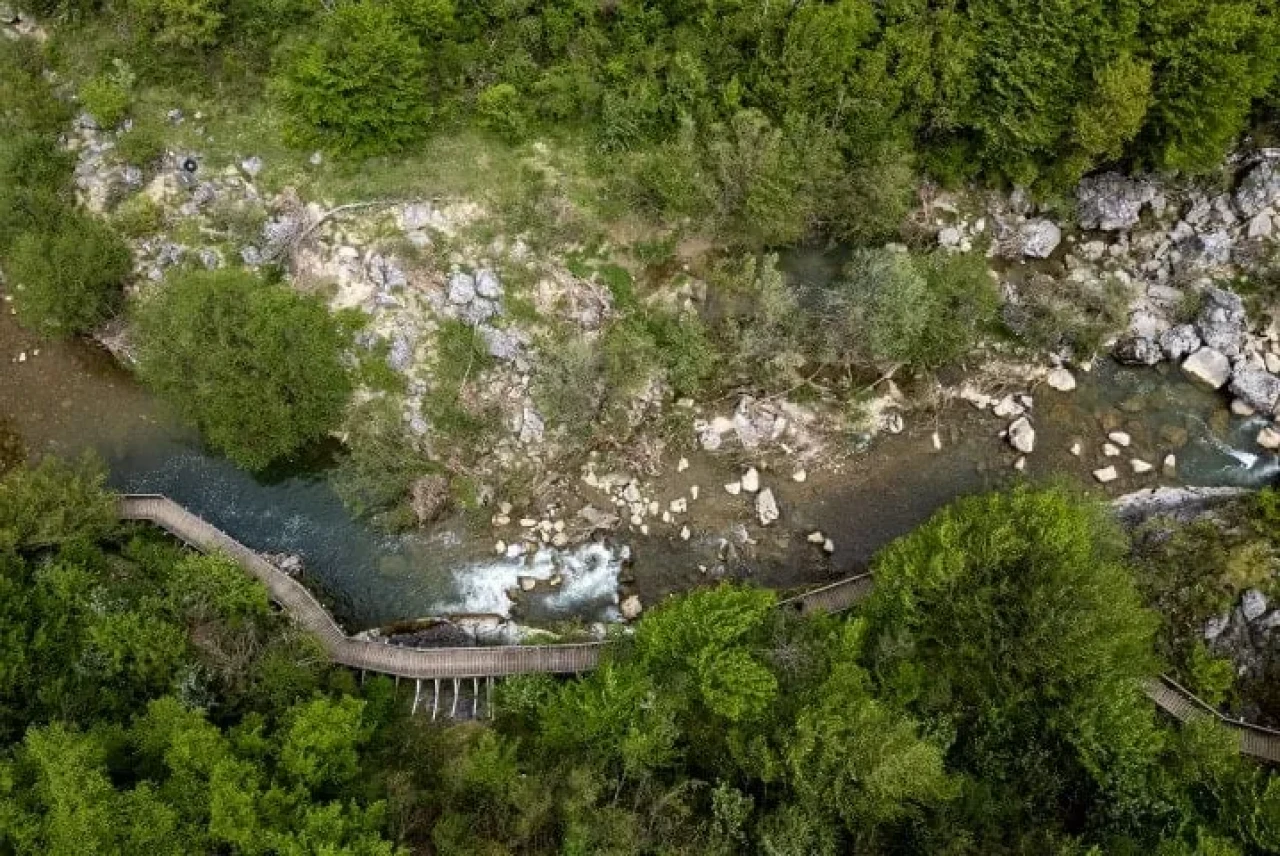 3,5 kilometrelik ahşap yürüyüş yolu! İstanbul'a yakın Kuzeyin saklı cenneti