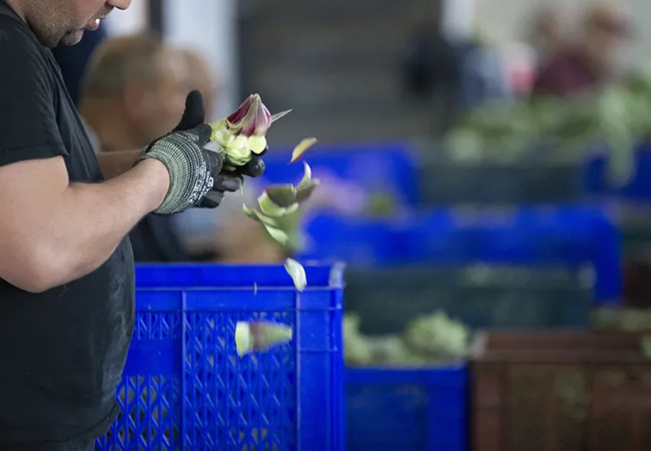 Enginar nasıl temizlenir: Bu püf noktalarıyla artık kararmayacak!