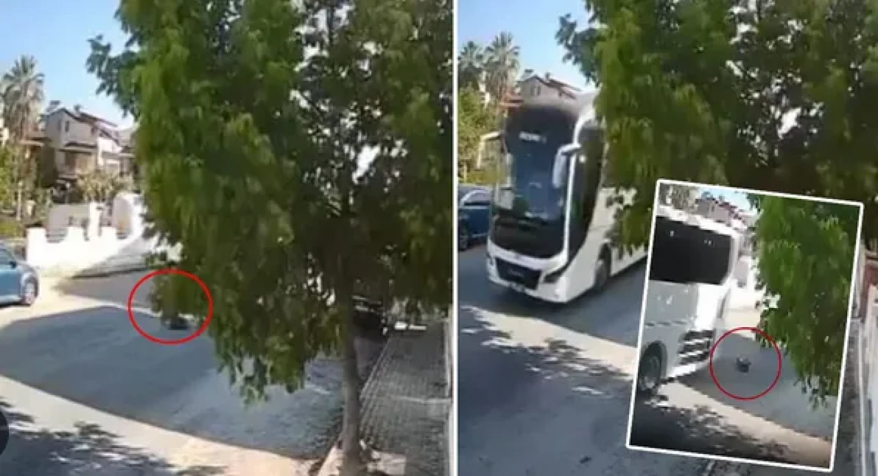 Kuşadası’nda Vicdansızlık: Sokak Köpeğini Ezip Kaçtı