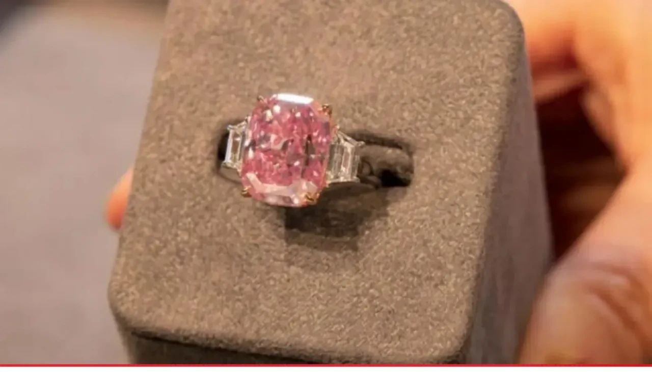 Rusya'nın En Büyük Elması "Yeni Güneş" Açık Artırmaya Çıkıyor