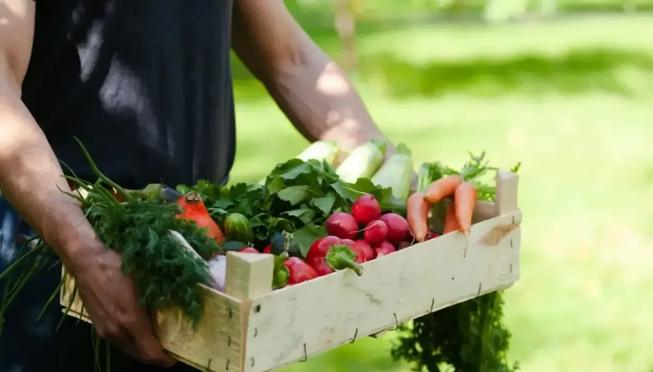 Tarımsal Girdilerde Artış Sürüyor: Girdi Maliyetleri Üreticiyi Zorluyor mu?
