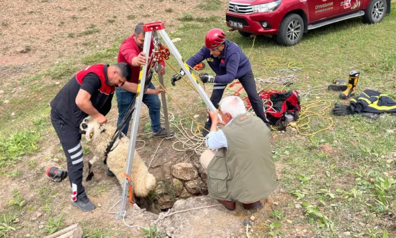 Kuyuya Düşen Koyun İçin Zamanla Yarıştılar! O Anlar Nefes Kesti