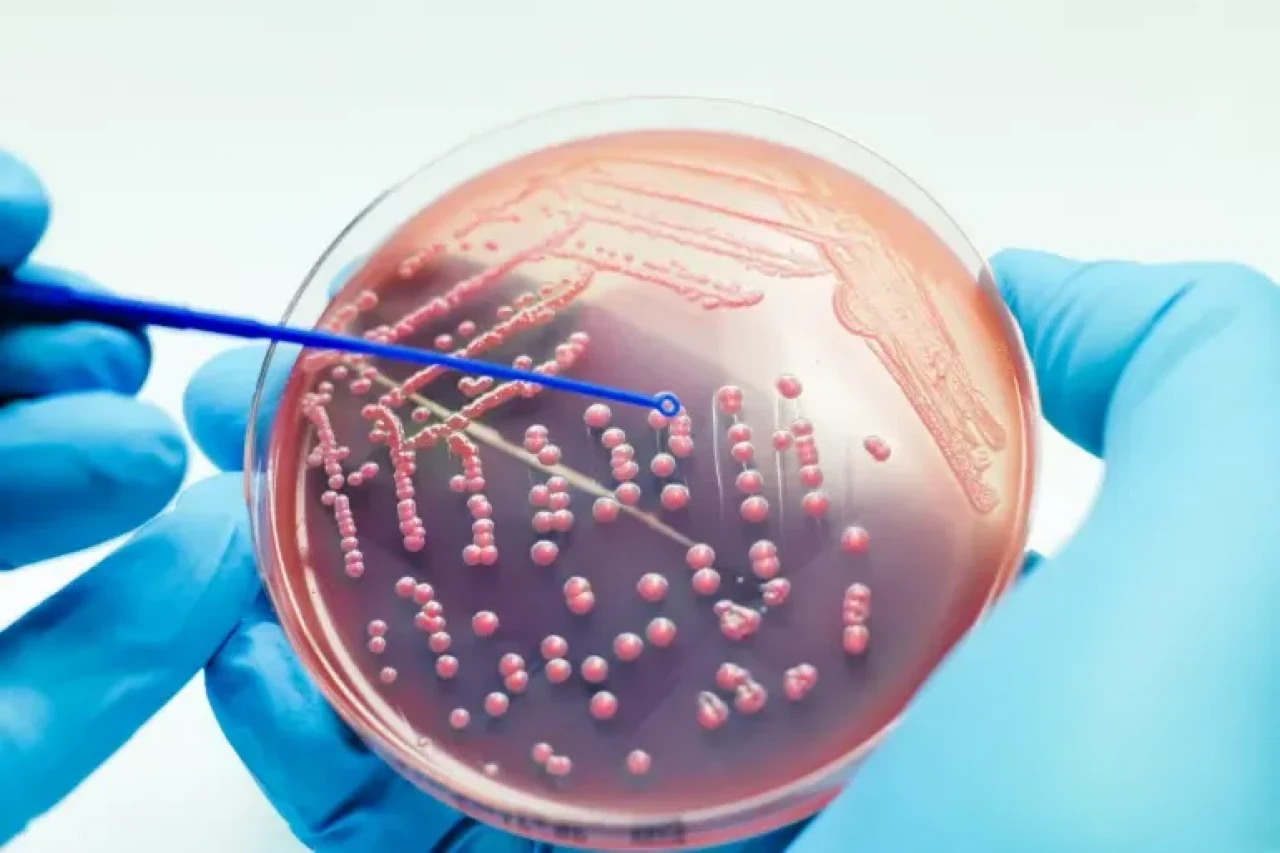 Yeni Maddeyle Bakterilerin %99.9’u yok ediliyor