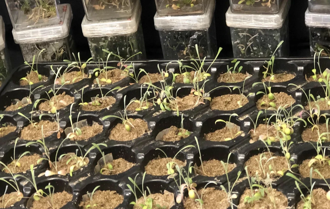 Assan Alüminyum’dan Sürdürülebilirlikte Tarihi Hamle