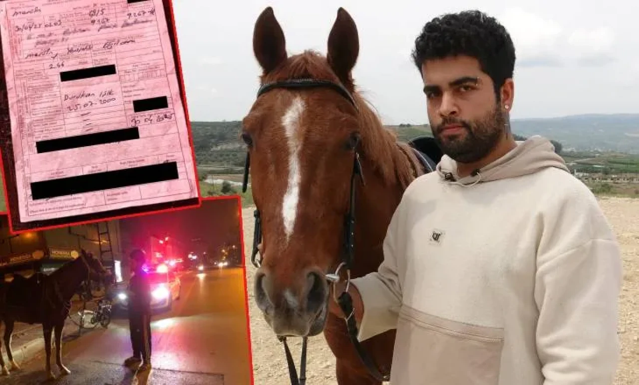 Atla Markete Gitti, 10 Bin TL Ceza Yedi! Mersin'de Şok Eden Olay