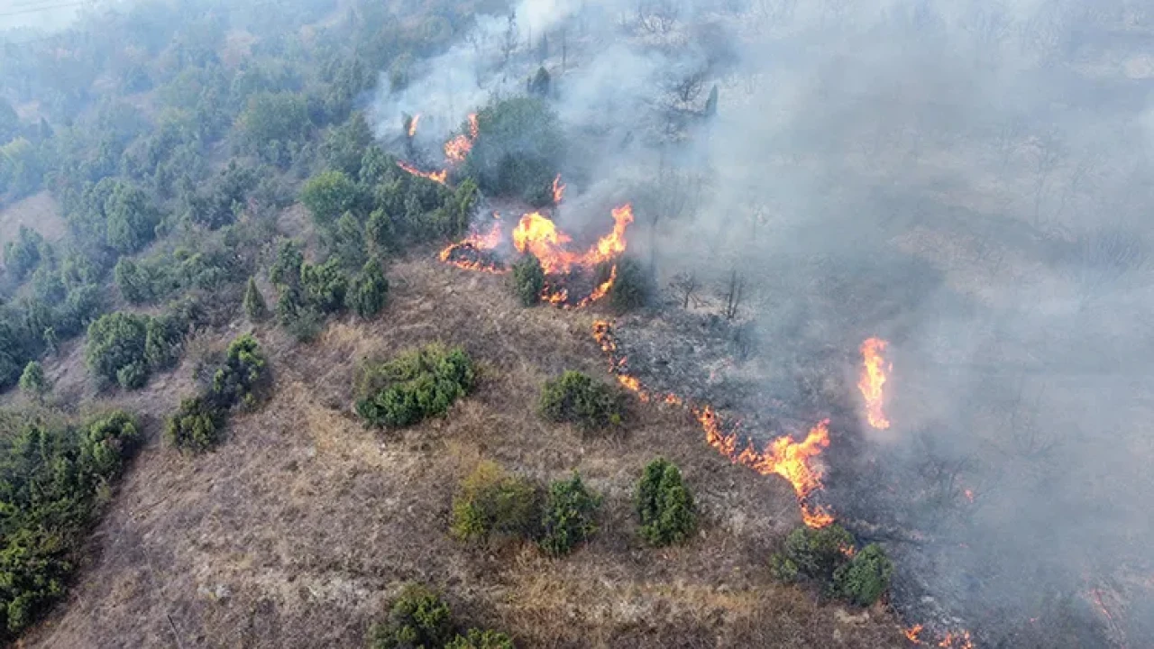 Osmaneli'de Orman Yangını: Havadan ve Karadan Yoğun Müdahale Sürüyor