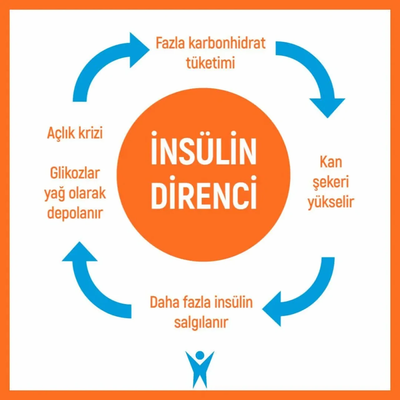 İnsülin Direnci Nedir, nasıl kırılır?