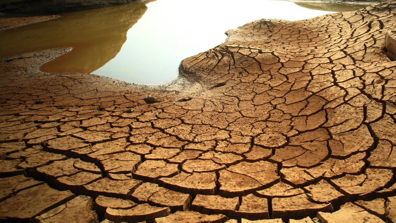 2050’de Göç Dalgası Başlayacak! Türkiye Bu Felakete Hazır mı?