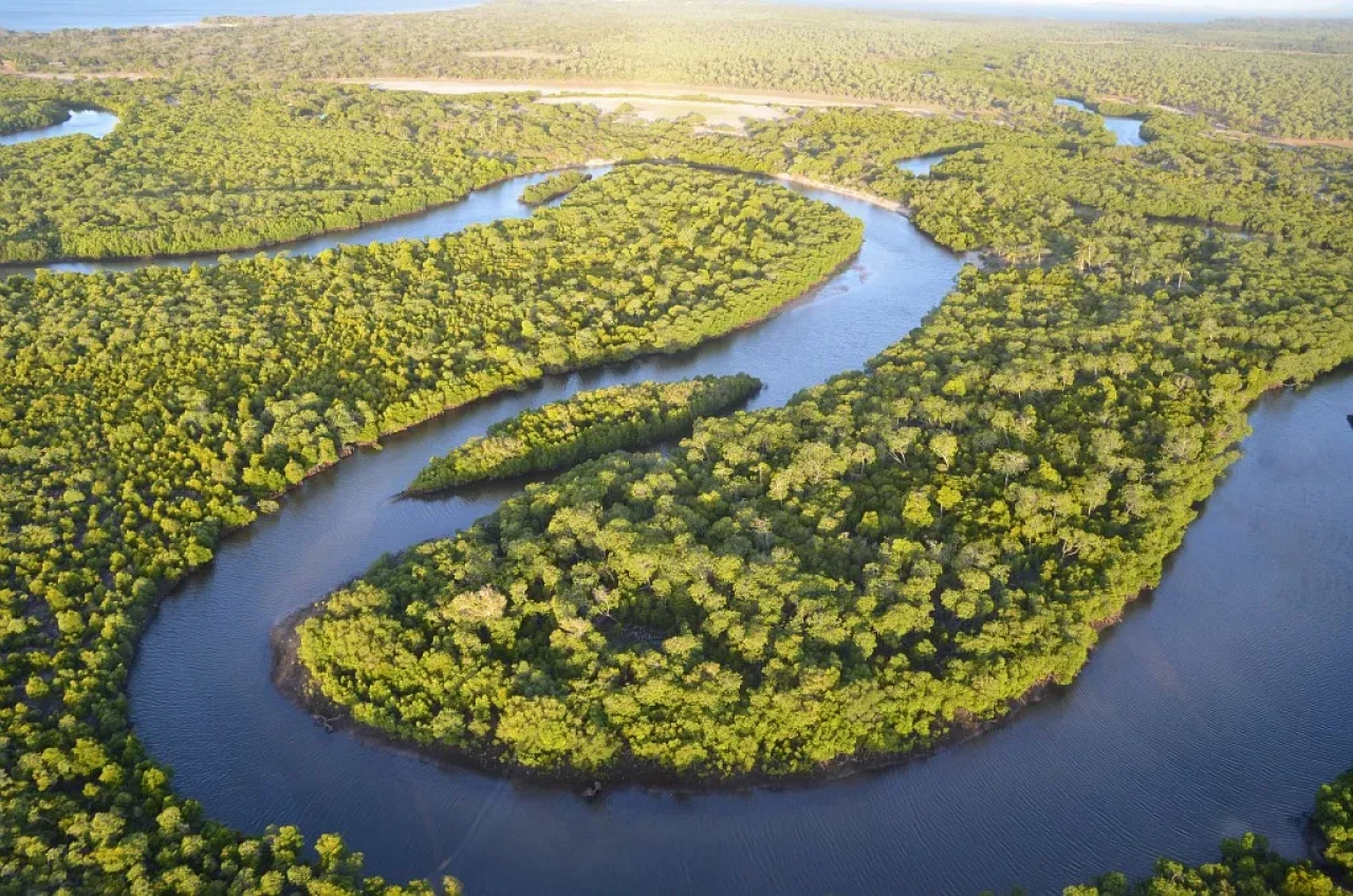 L’Oréal Türkiye’den Yeşil Geleceğe Dev Yatırım! Dijital Kampanyalarla Karbon Ayak İzi Azaltılıyor