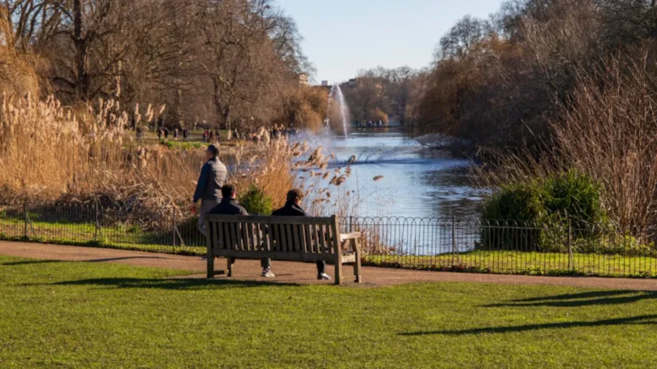 Ne mühendis ne yazılımcı: Basit bir işle yılda 8.4 Milyon TL kazanıyor!