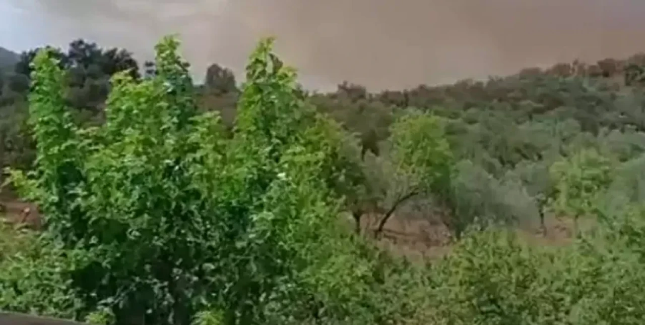 Balıkesir Havran’da Orman Yangını: Halılar Mahallesi Alevlere Teslim, Sarnıç Boşaltıldı