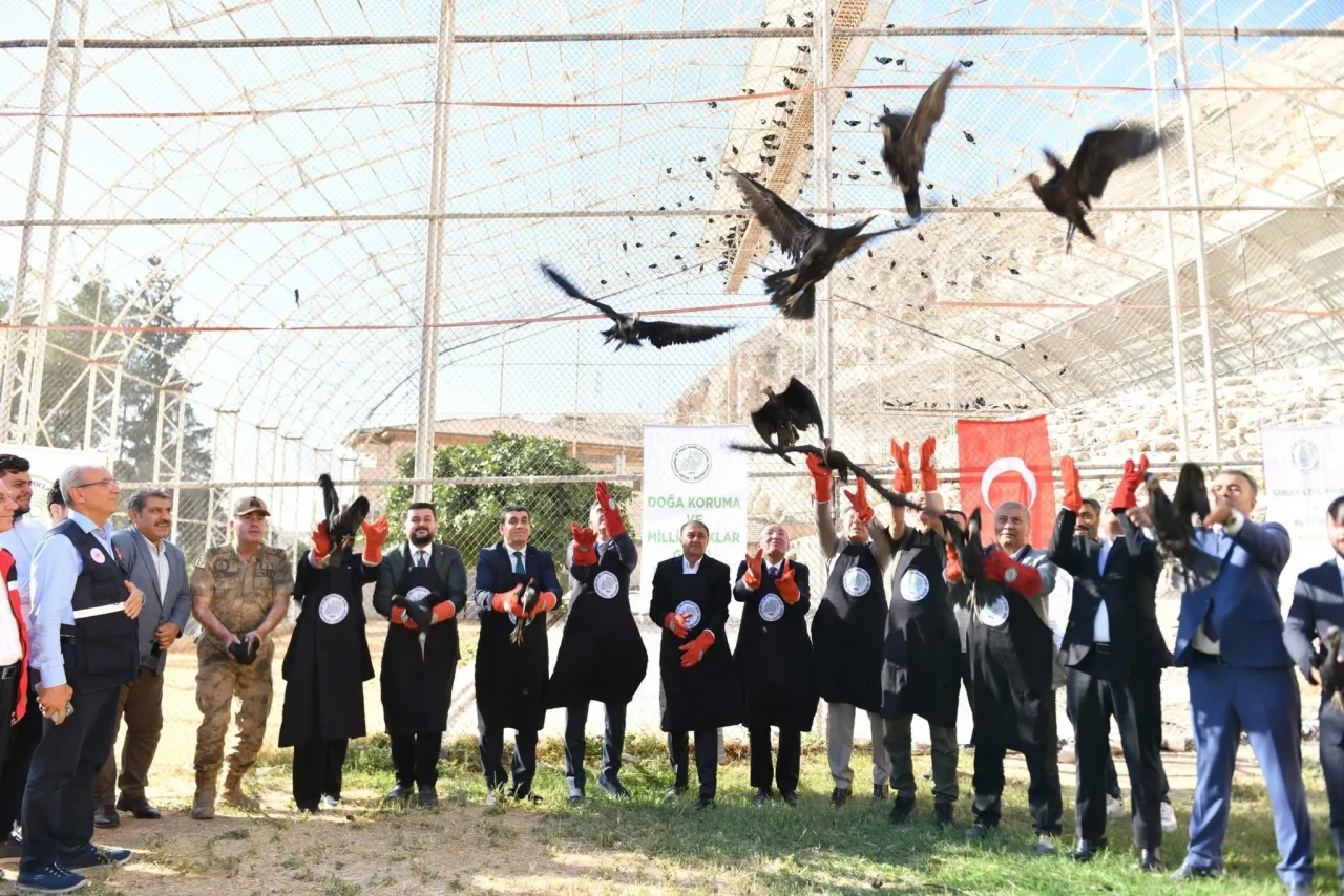 Kelaynaklar yeniden gökyüzünde: Umut ve Sıla doğaya uğurlandı